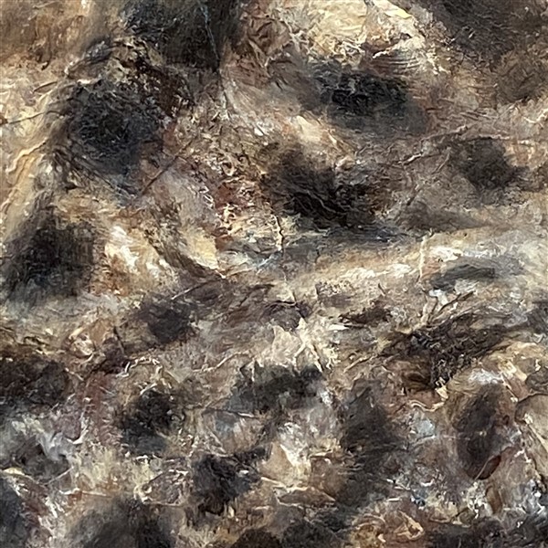 hyenastudy Detail 2 (600 x 600)